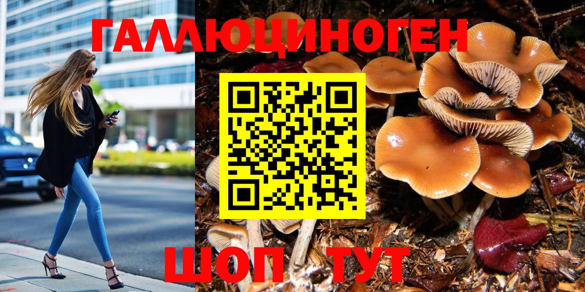 Галлюциногенные грибы мухоморы Магнитогорск
